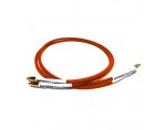 INTRO RCA Interconnect Orange 1M Pair 