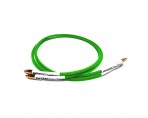 INTRO RCA Interconnect Green 1M Pair 