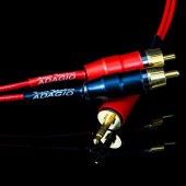 ADAGIO 3.5mm to RCA Stereo Interconnect